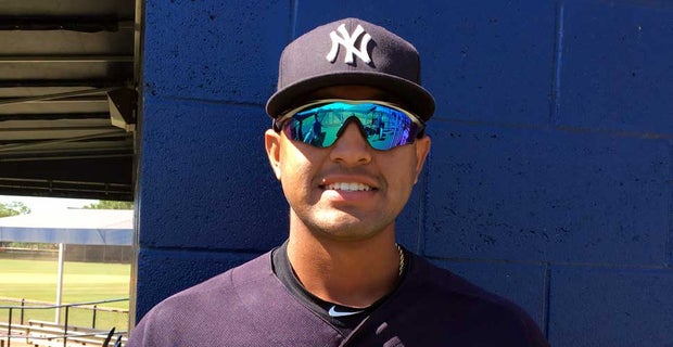 Sizing Up The Outfield Prospects -- Part I